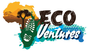 Eco Ventures 