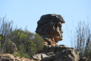Namaqualand 5 day walking tour13