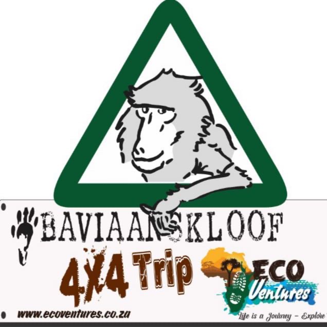Bav Logo